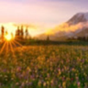 Meet your Posher, Lex